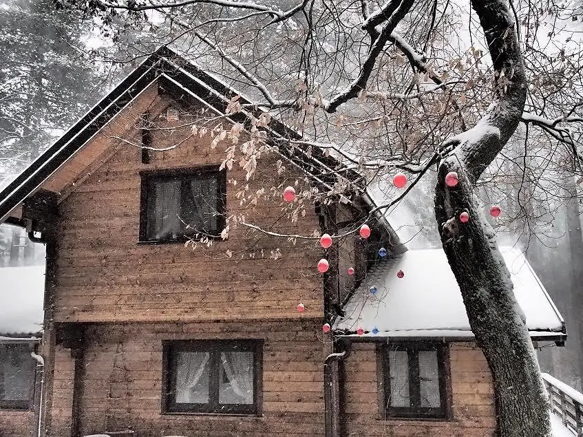 Chalet Clan Dei Ragazzi Hotel Linguaglossa